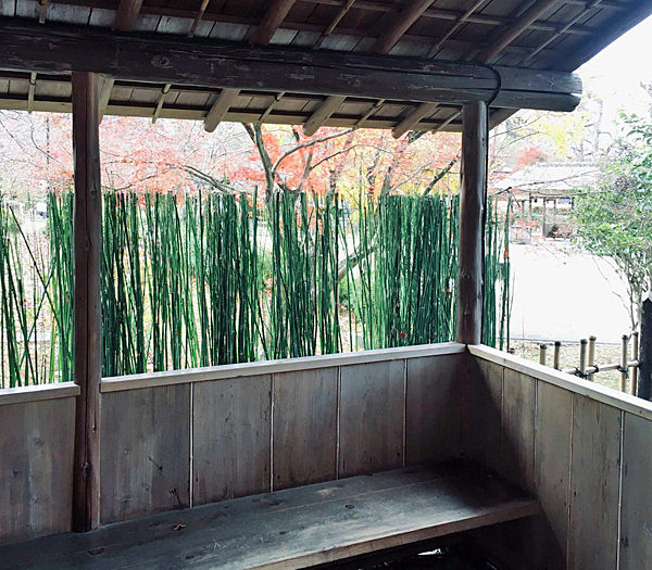 茶菓円山の待ち合い