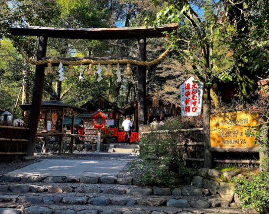 嵐山野々宮神社の黒木鳥居