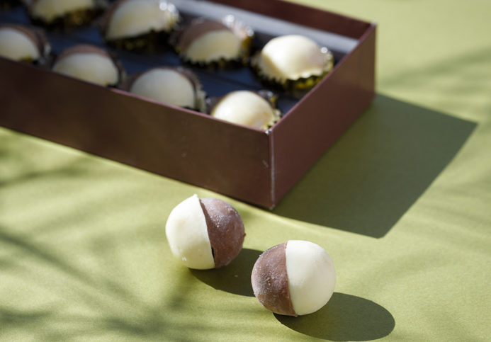 箱入りの生チョコ