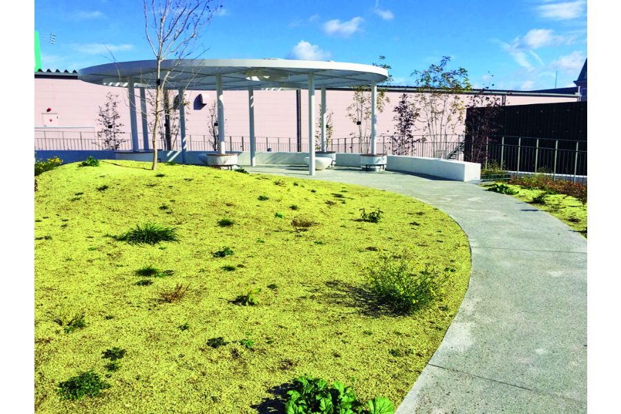 宝塚市立文化芸術センター屋上