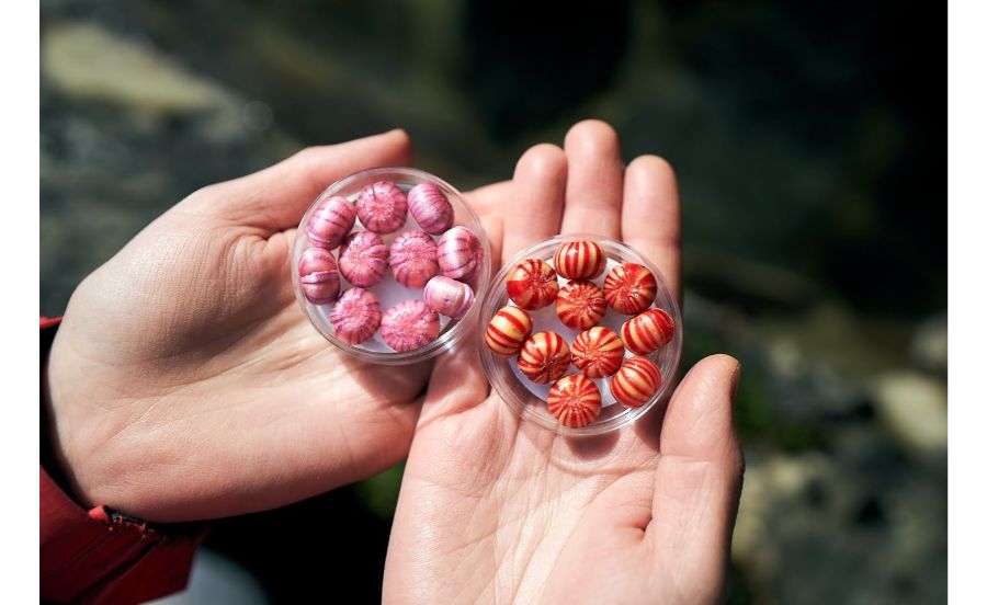 貴船神社の「結縁手鞠・恋珠手鞠」２個セット