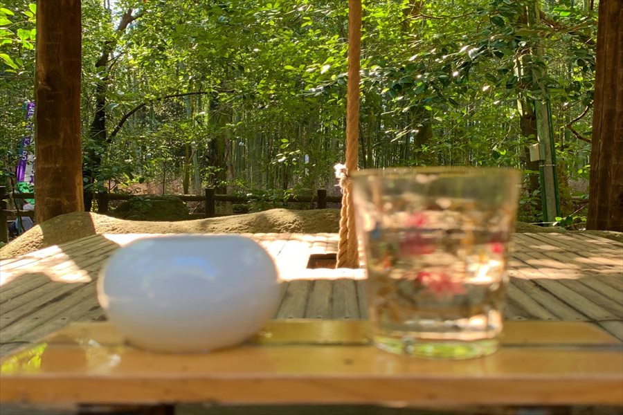 昔の井戸が残る野宮神社境内