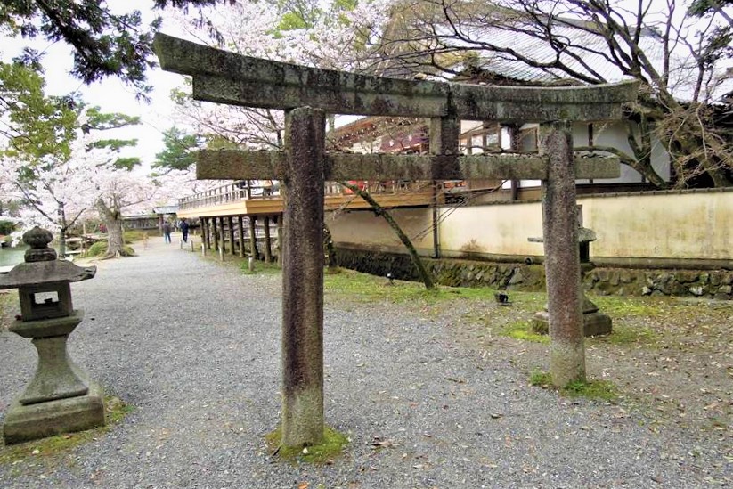 半分土に埋まってしまった背の低い鳥居