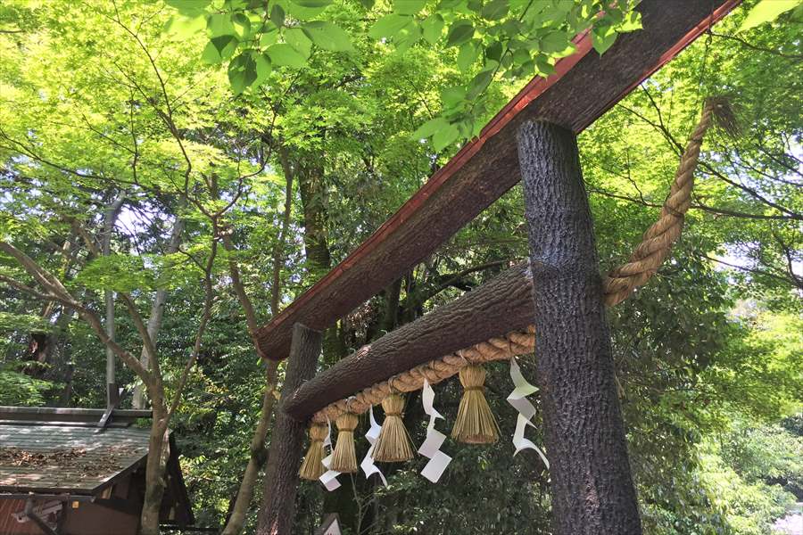 野宮神社の入り口には珍しい黒鳥居