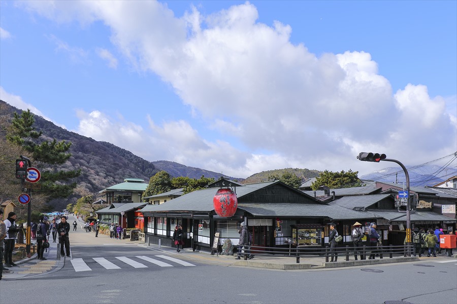 渡月橋を渡った東門にある老舗琴きき茶屋