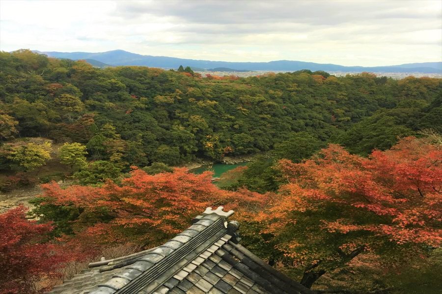 千光寺から眼下に見える嵐峡と山々
