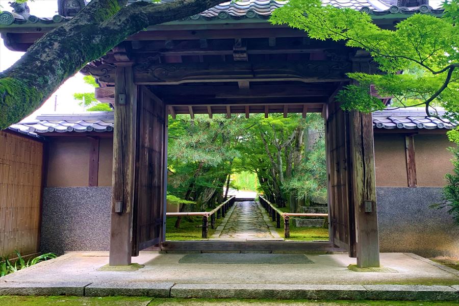 奥へとのびる石畳が美しい光悦寺
