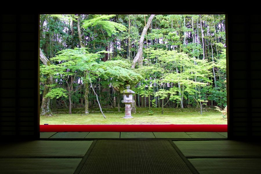 座敷から眺める高桐院の庭園