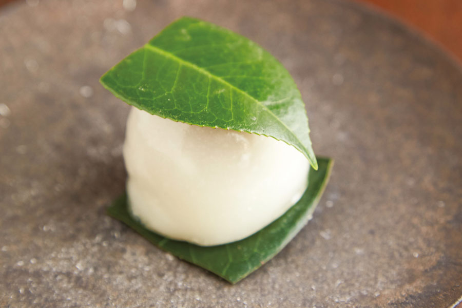 お皿にもられておいしそうな椿餅