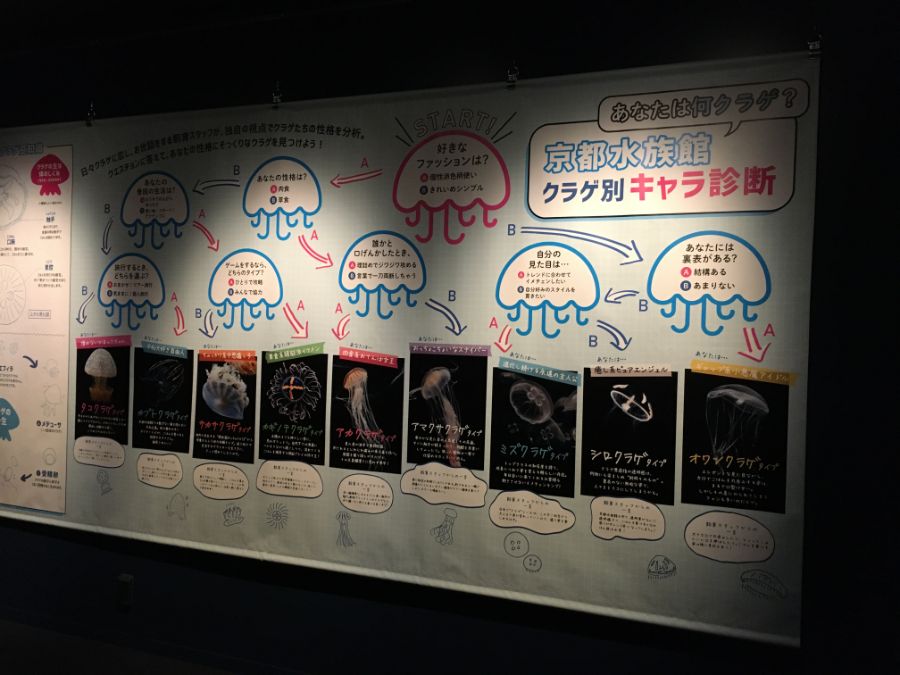 クラゲ別キャラ診断