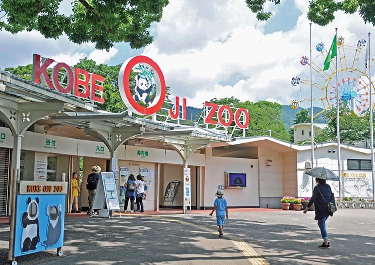 入園制限中の王子動物園、兵庫県外の人もwebでの観覧申し込みが可能に