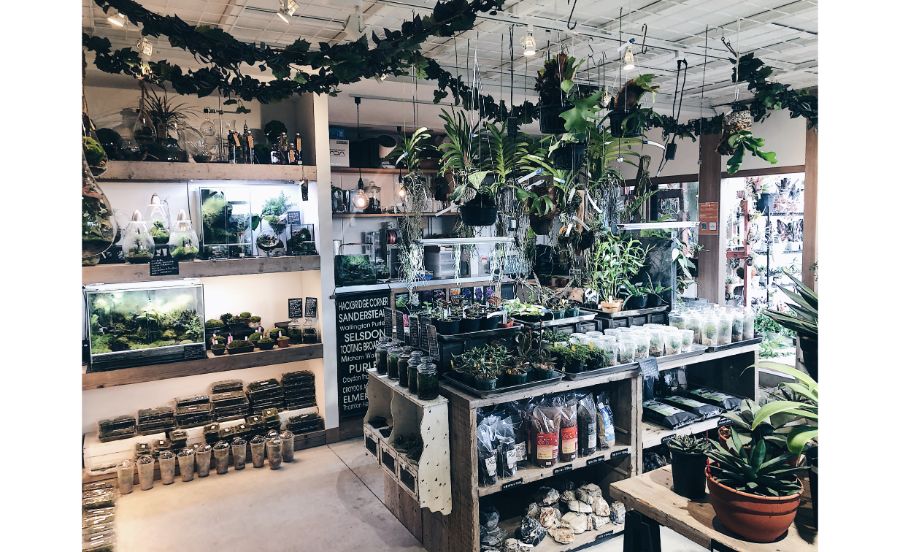 陽春園　パルコジョキ