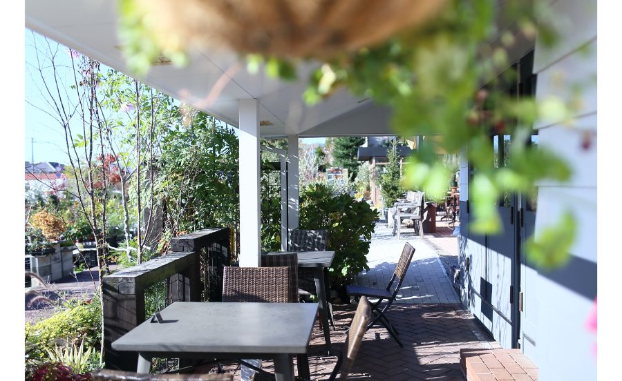 陽春園　パルコジョキ