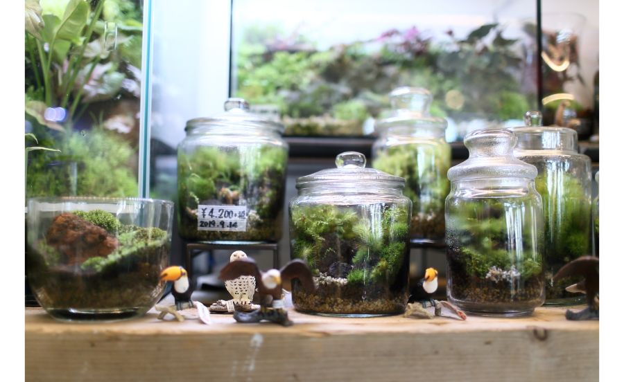 陽春園　パルコジョキ