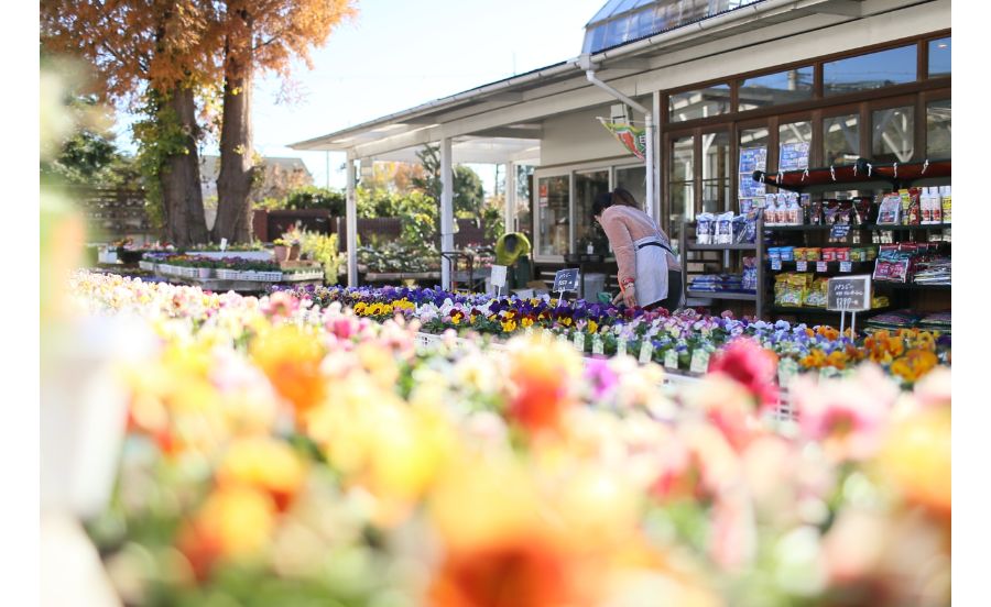 陽春園　パルコジョキ