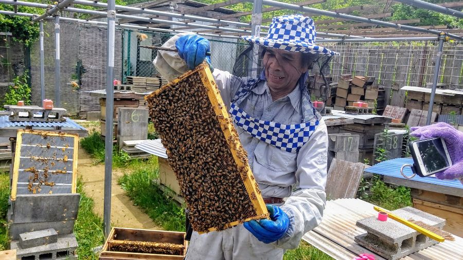 宝塚はちみつのオーナーで養蜂家の明利さん