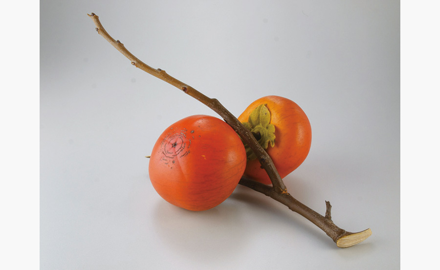 京都国立近代美術館で、二十四節気をテーマにした展覧会開催中