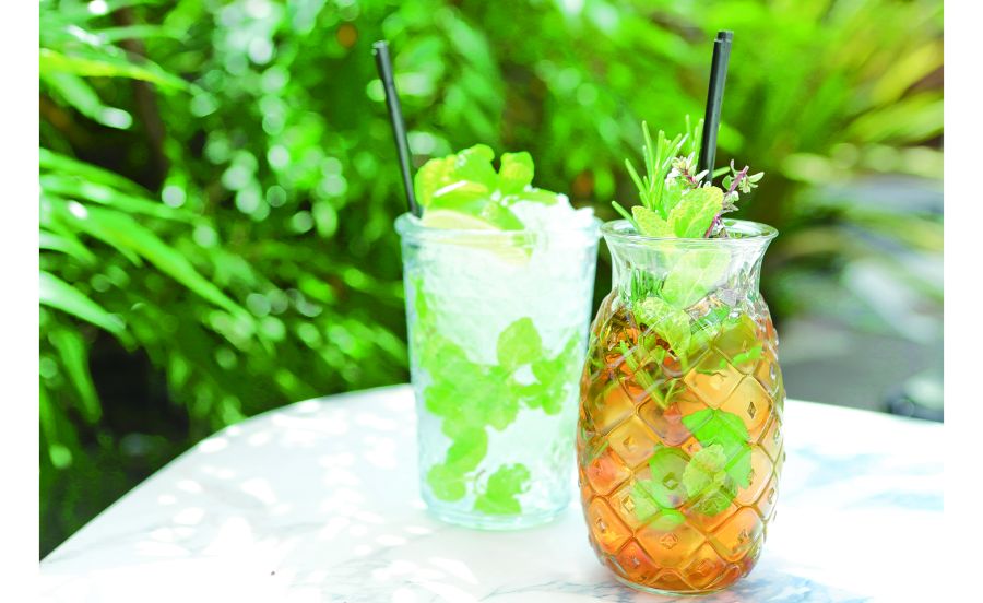 自家菜園のハーブを使ったドリンク類