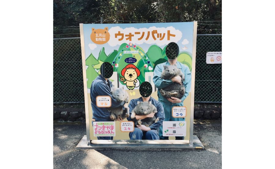 写真撮影用パネル