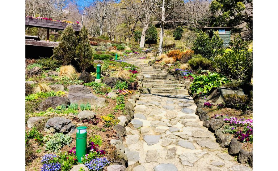 神戸布引ハーブ園