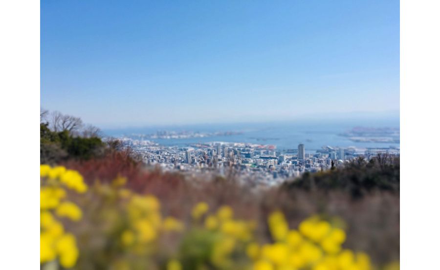 ザ・ヴェランダ神戸からの眺め