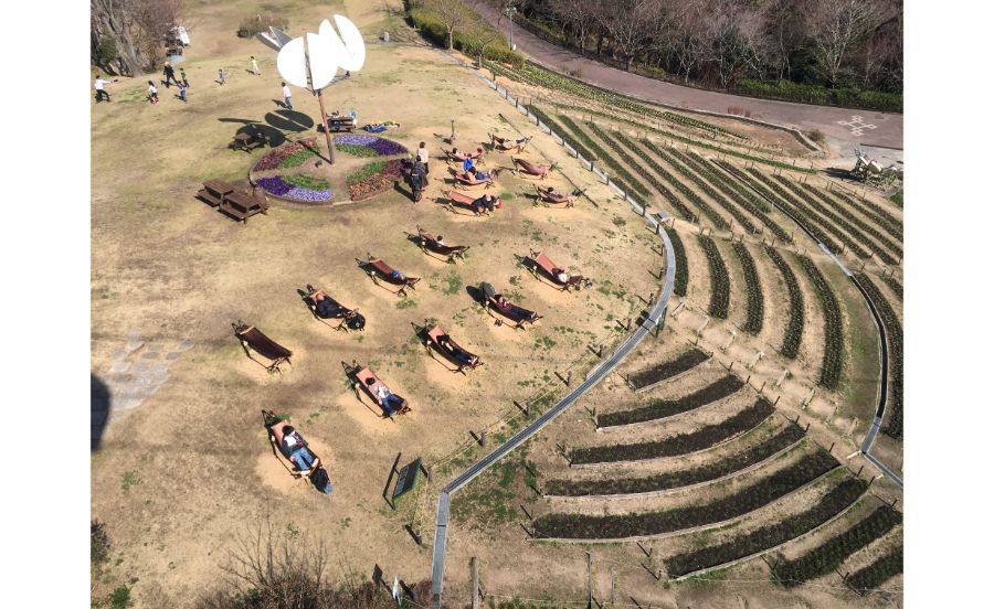 ロープウェイからの眺め