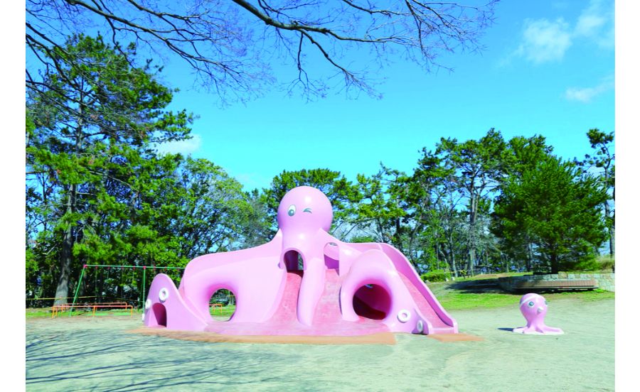 造形物としてもおもしろいタコさんすべり台