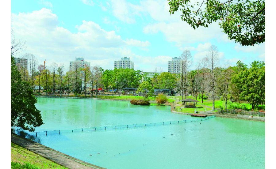 公園の奥に見えるのは団地群