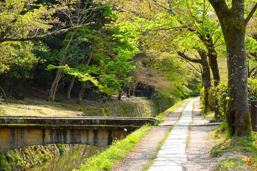 京都のおすすめハイキングコース7選。初心者にもおすすめな定番から穴場まで