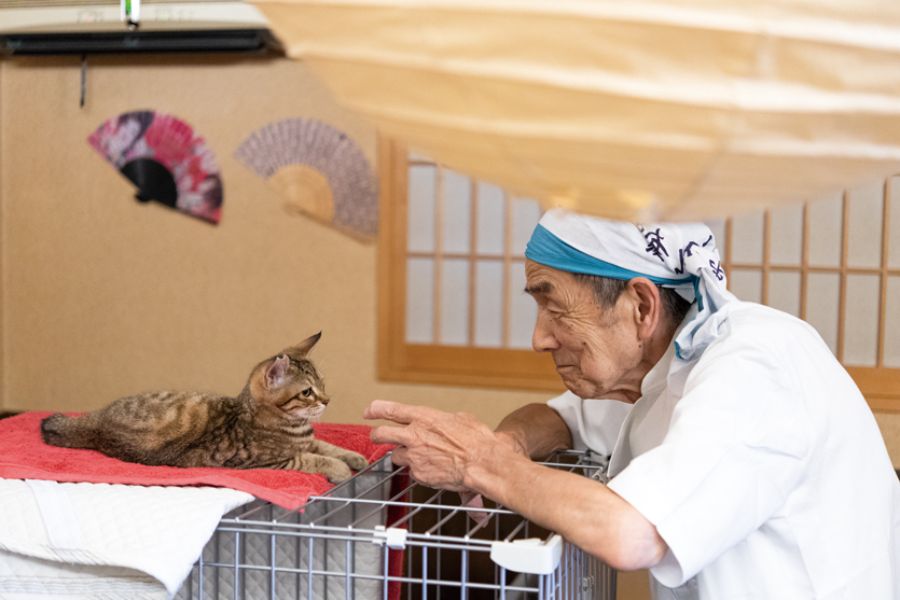 猫と戯れる隆幸さん