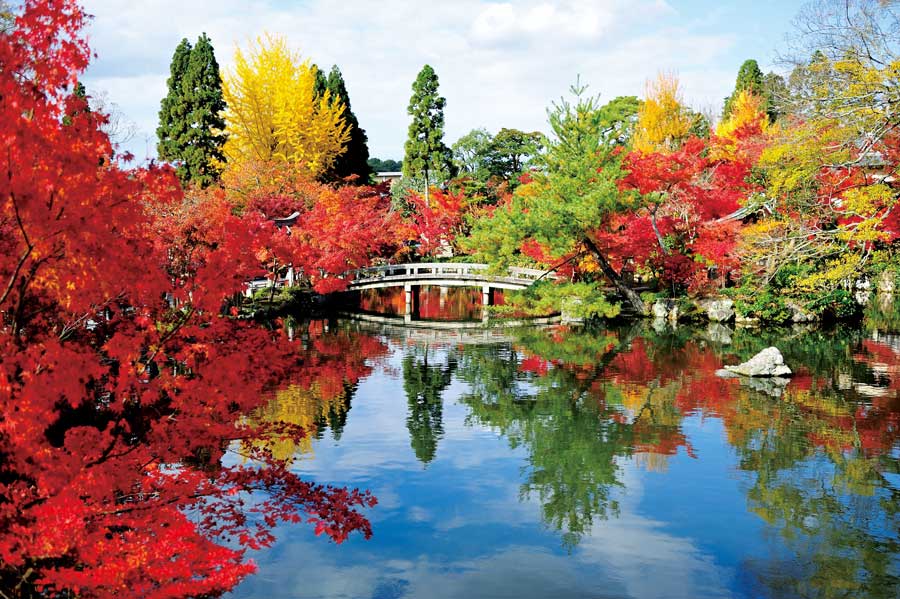 池にうつる紅葉