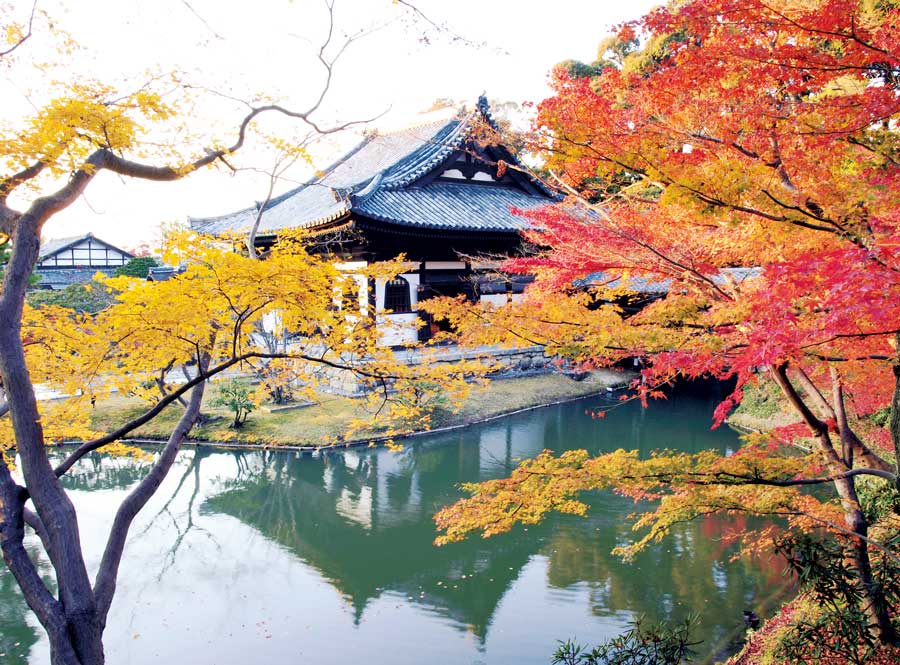 歴史的な建物と鮮やかな紅葉