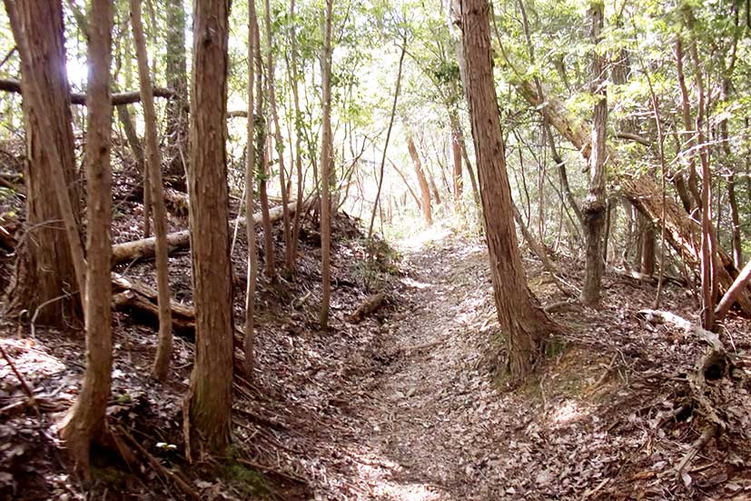 のせでんハイキング11月17日(火)開催。妙見口から旧山下道・ 大阪青山歴史文学博物館コース