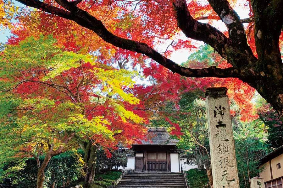 【2020年最新】京都の紅葉スポット8選。密を避けて穴場や広い公園へ【TOKK2020年11月15日号】