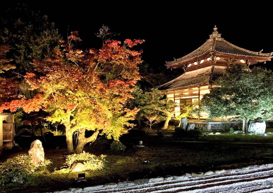 鹿王院のライトアップ