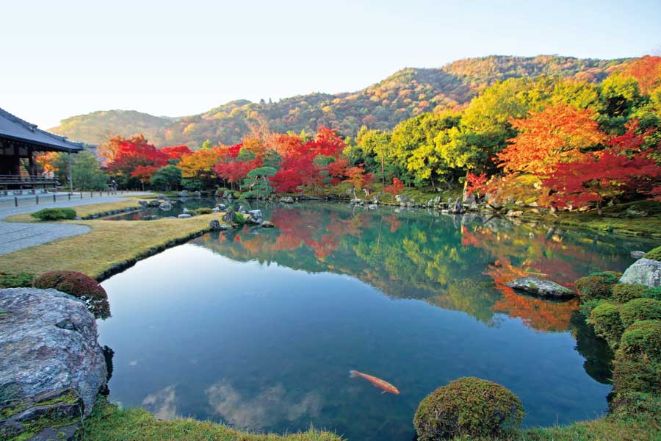 紅葉した天龍寺の美しい庭