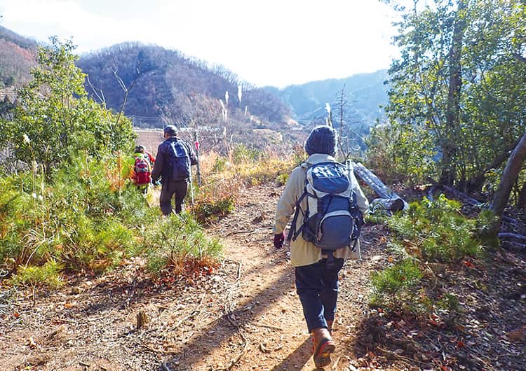 【開催中止】2020年歩き納めのロングウオーク！のせでんチャレンジハイキング12月19日（土）開催