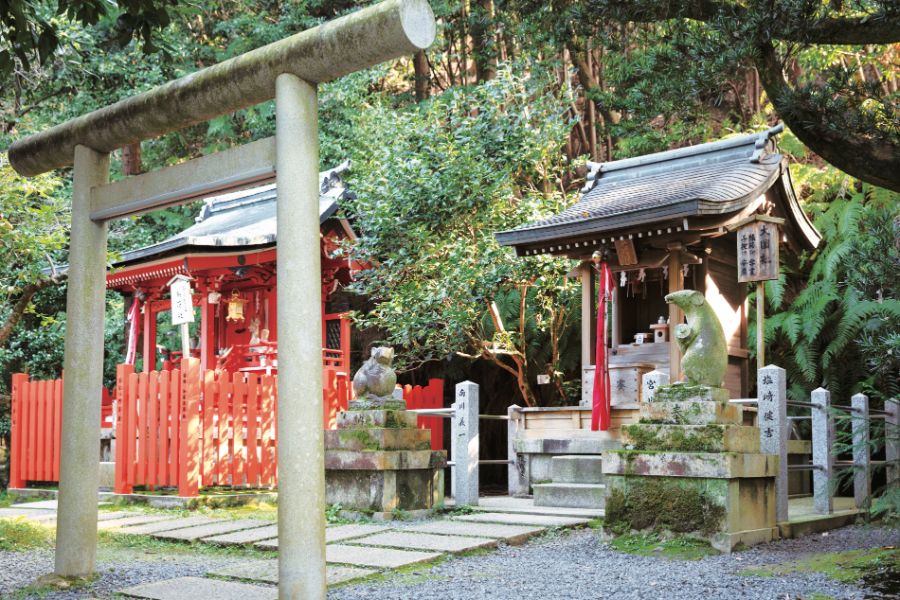 大豊神社の鳥居と本殿