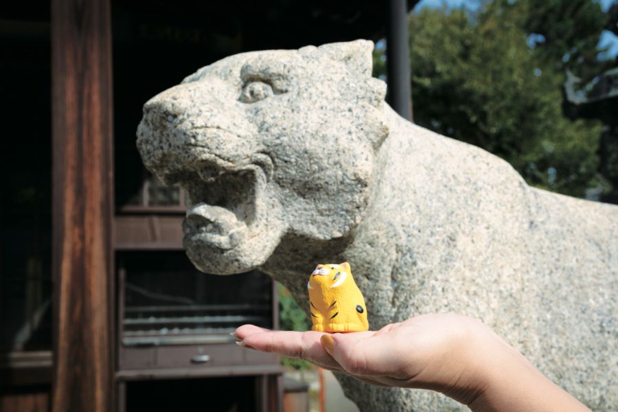 狛虎と寅みくじ