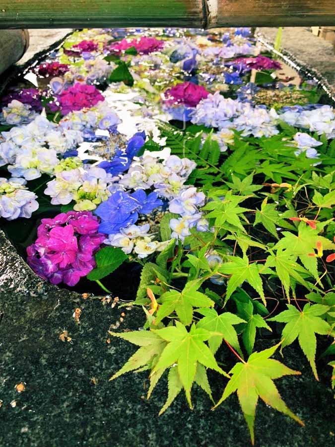 あじさいと青もみじで彩る花手水