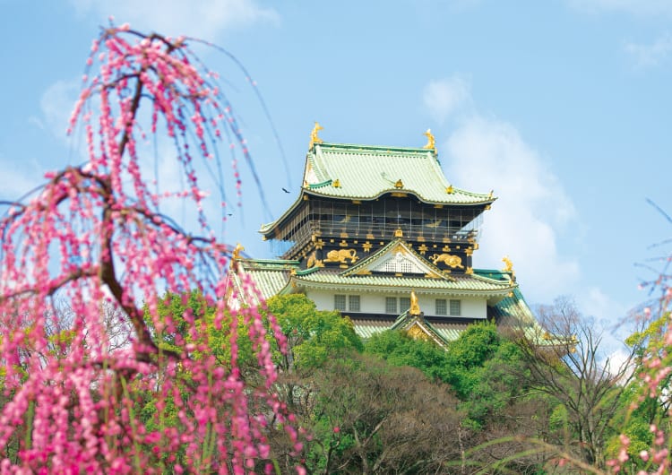 大阪城と梅