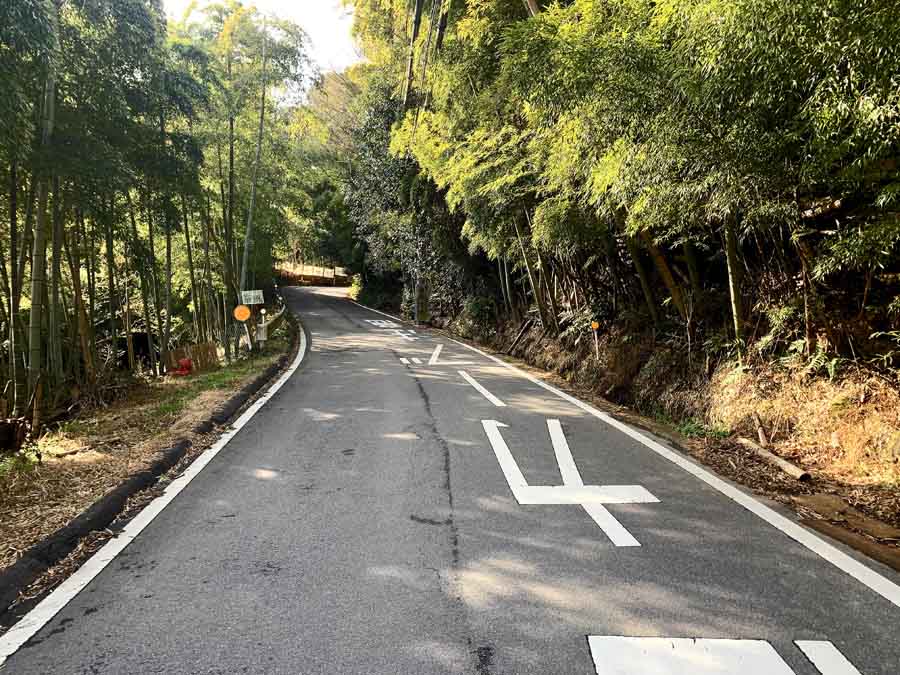 柳谷観音へのルート途中にある竹林