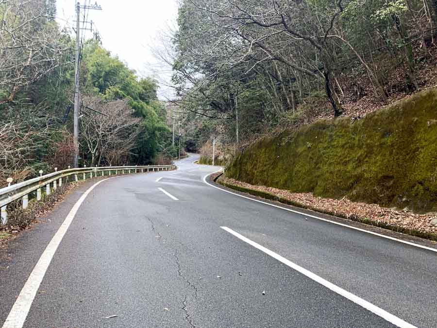 柳谷観音へのルート途中にある竹林