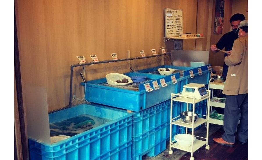 卸直売＆BBQ　活貝センター　小林漁港の水槽