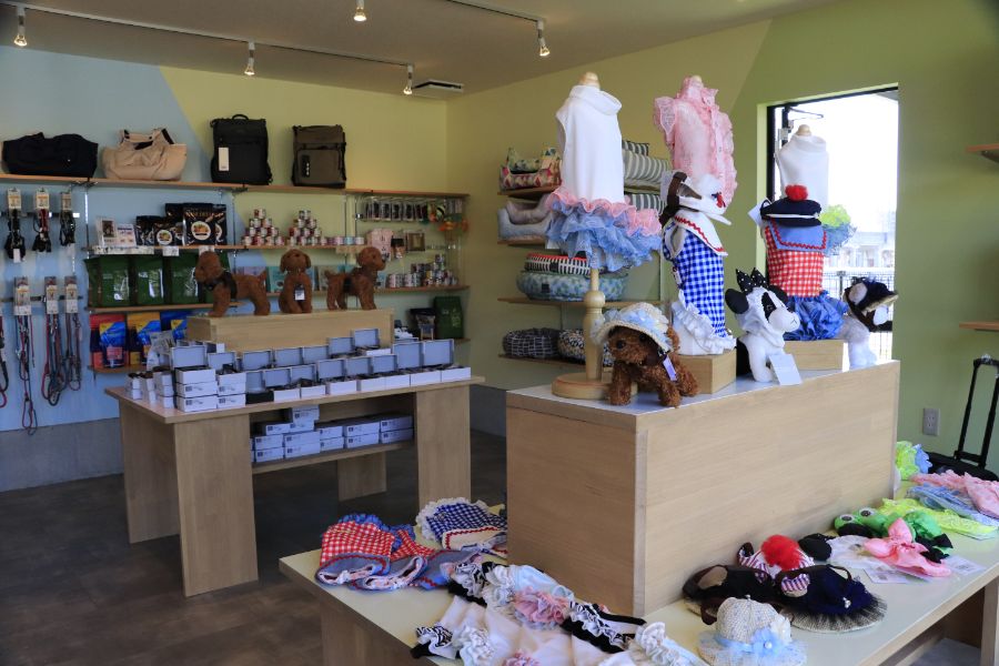 犬の愛らしい服のディスプレイ