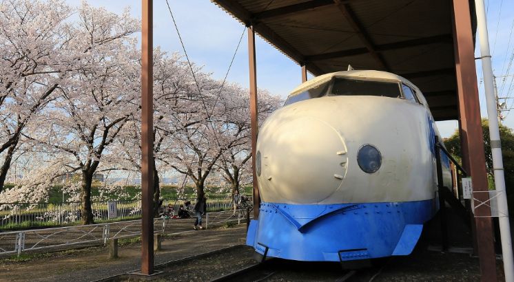 桜と新幹線公園の0系新幹線