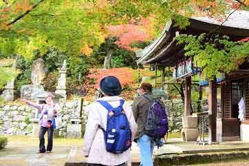 参加者を案内するガイド