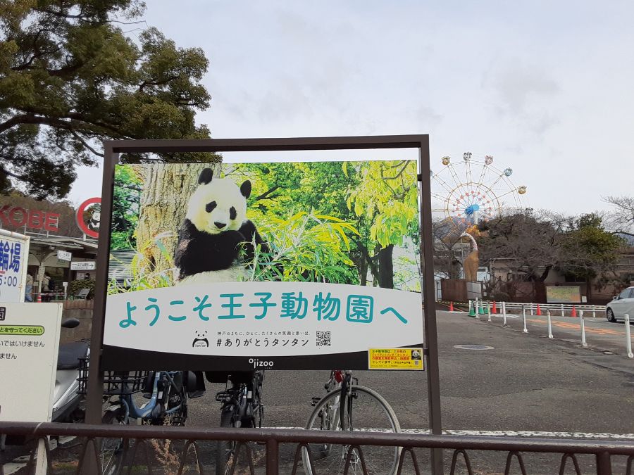 王子動物園を子連れで楽しむ攻略ガイド【タンタン・ランチ・アクセス・駐車場も】