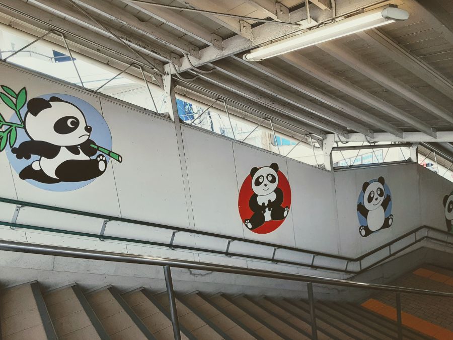 階段の壁面に描かれたパンダのイラスト