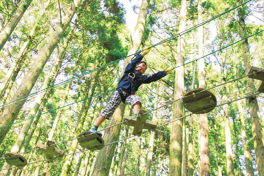 日本最大級のアスレチック施設、六甲山アスレチックパーク GREENIA（グリーニア）が好評営業中